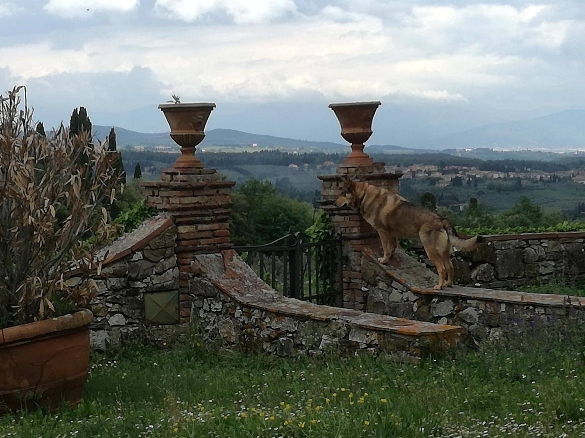 Agriturismo Podere La Cava Mercatale Val Di Pesa Экстерьер фото